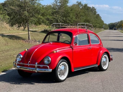 1967 Volkswagen Beetle for sale