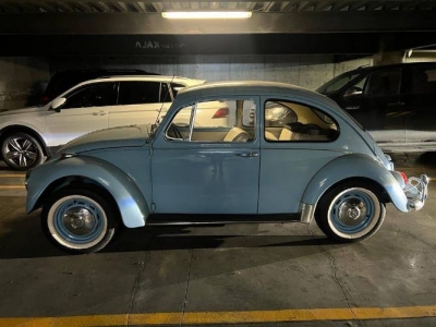1967 Volkswagen Beetle for sale
