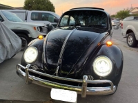 1967 Volkswagen Beetle for sale in Michigan (ID-123679)