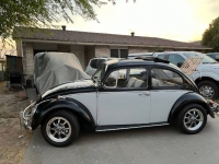 1967 Volkswagen Beetle for sale in Michigan (ID-123679)