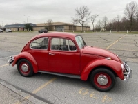 1967 Volkswagen Beetle for sale in Riverhead, New York (ID-128131)