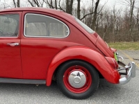 1967 Volkswagen Beetle for sale in Riverhead, New York (ID-128131)