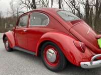 1967 Volkswagen Beetle for sale in Riverhead, New York (ID-128131)