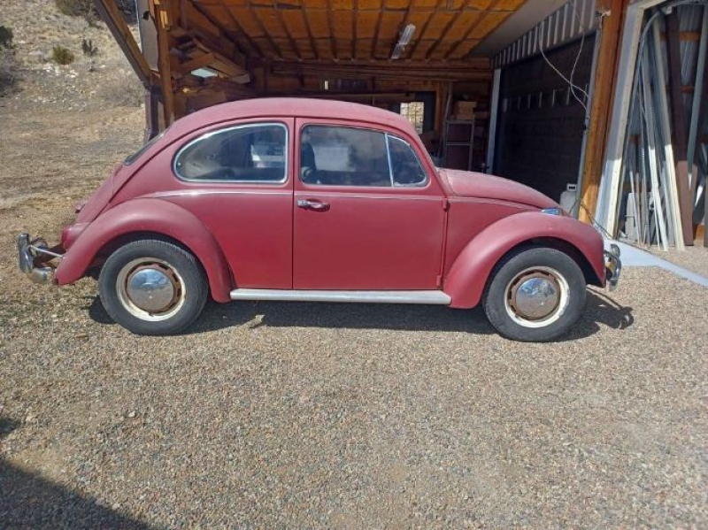1967 Volkswagen Beetle for sale in Michigan (ID-128185) 1967 Volkswagen Beetle for sale in Michigan (ID-128185)