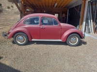 1967 Volkswagen Beetle for sale in Michigan (ID-128185)