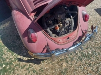 1967 Volkswagen Beetle for sale in Michigan (ID-128185)
