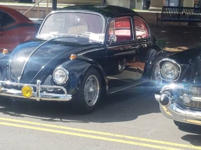 1967 Volkswagen Beetle for sale