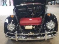 1967 Volkswagen Beetle for sale in Michigan (ID-133787)