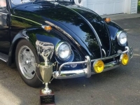 1967 Volkswagen Beetle for sale in Michigan (ID-133787)