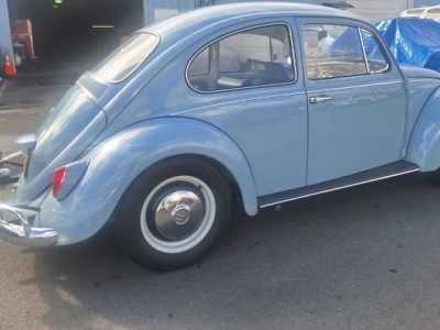 1967 Volkswagen Beetle for sale