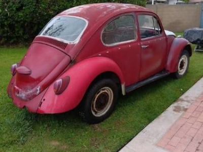 1967 Volkswagen Beetle for sale