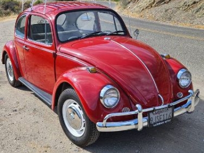 1967 Volkswagen Beetle for sale