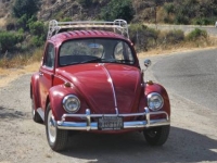 1967 Volkswagen Beetle for sale in Michigan (ID-143830)