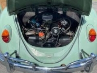 1967 Volkswagen Beetle for sale in Michigan (ID-145231)