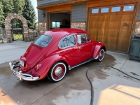1967 Volkswagen Beetle for sale (ID-146133)