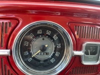 1967 Volkswagen Beetle for sale (ID-146133)