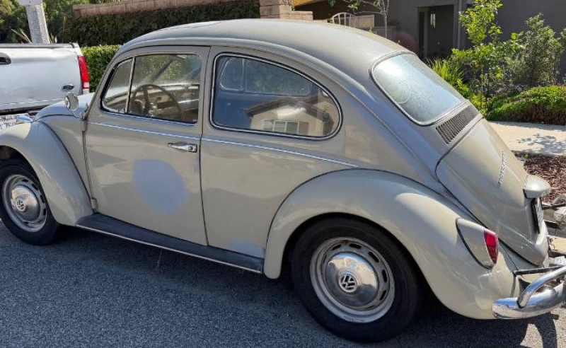 1967 Volkswagen Beetle for sale in Michigan (ID-146176)