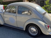1967 Volkswagen Beetle for sale in Michigan (ID-146176)