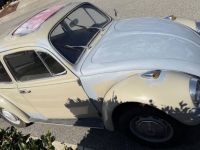 1967 Volkswagen Beetle for sale in Michigan (ID-146176)