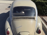 1967 Volkswagen Beetle for sale in Michigan (ID-146176)
