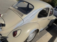 1967 Volkswagen Beetle for sale in Michigan (ID-146176)