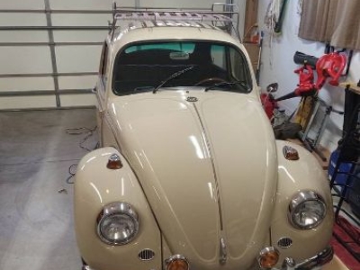 1967 Volkswagen Beetle for sale