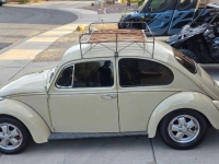 1967 Volkswagen Beetle for sale in Michigan (ID-161623)