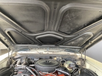 1968 Buick Skylark for sale in North Vancouver, British Columbia (ID-101043)