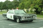 1968 Dodge Polara for sale in Georgia (ID-35755)