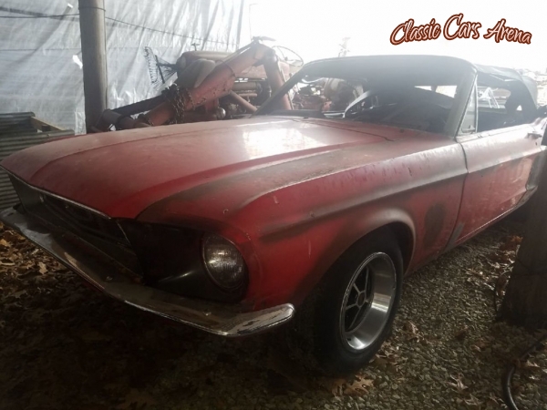 1968 Ford Mustang for sale in Glen Cove, New York (ID-52337)