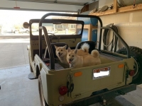 1968 Kaiser Jeep for sale in Michigan (ID-89858)