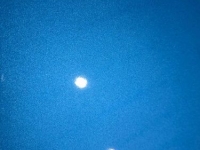 1968 Chevrolet Bel Air for sale in Michigan (ID-155070)