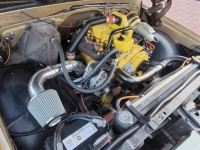 1968 Chevrolet C20 for sale (ID-124761)