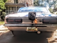 1968 Chevrolet Camaro for sale in Michigan (ID-145313)