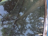 1968 Chevrolet Camaro for sale in Michigan (ID-161743)