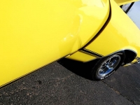 1968 Chevrolet Chevelle for sale in Michigan (ID-117971)