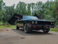 1968 Chevrolet Chevelle for sale in Michigan (ID-130857)