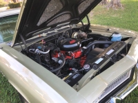 1968 Chevrolet Chevelle for sale in Michigan (ID-133633)