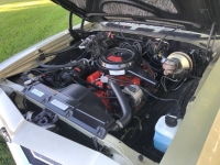 1968 Chevrolet Chevelle for sale in Michigan (ID-133633)