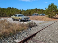 1968 Chevrolet Chevelle for sale in Riverhead, New York (ID-135148)
