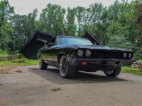 1968 Chevrolet Chevelle for sale in Michigan (ID-138702)