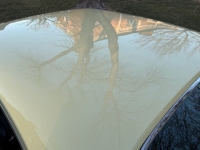 1968 Chevrolet Chevelle for sale in Michigan (ID-155584)