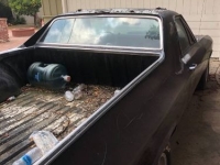 1968 Chevrolet El Camino for sale in Michigan (ID-127594)