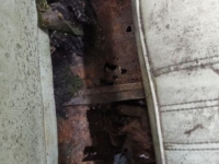 1968 Chevrolet Impala for sale in Michigan (ID-162563)