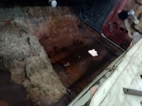 1968 Chevrolet Impala for sale in Michigan (ID-162563)