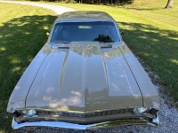 1968 Chevrolet Nova for sale in Michigan (ID-134900)