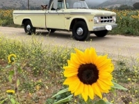 1968 Dodge D200 for sale in Michigan (ID-117617)