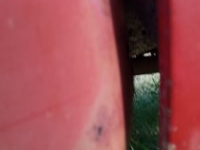 1968 Ford F100 for sale in Michigan (ID-117998)