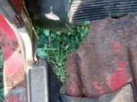 1968 Ford F100 for sale in Michigan (ID-117998)