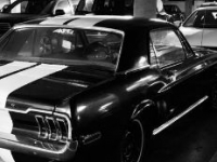 1968 Ford Mustang for sale in Michigan (ID-106697)